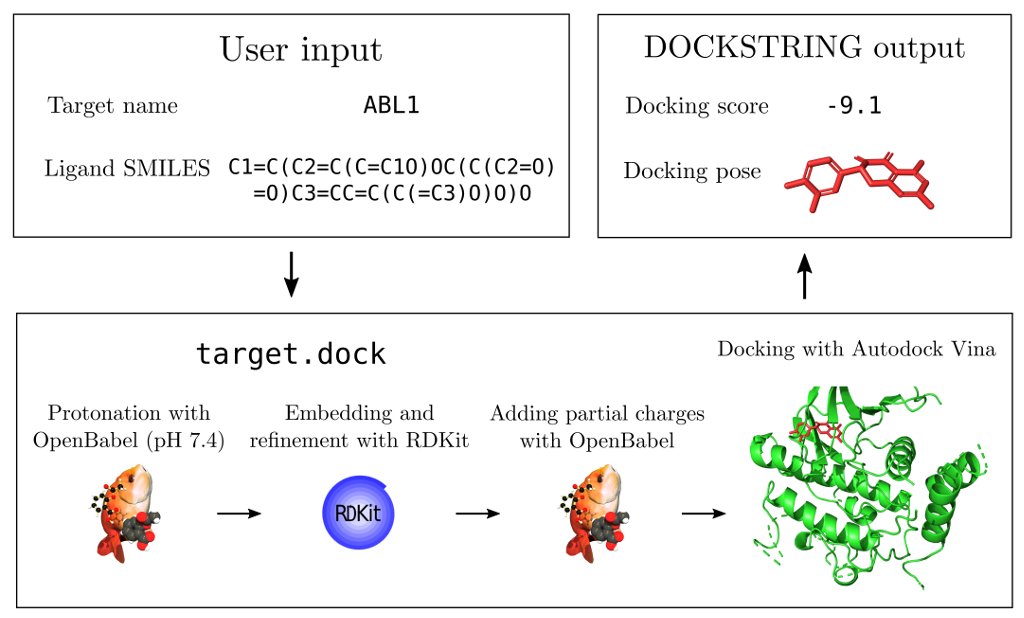schematic of dockstring